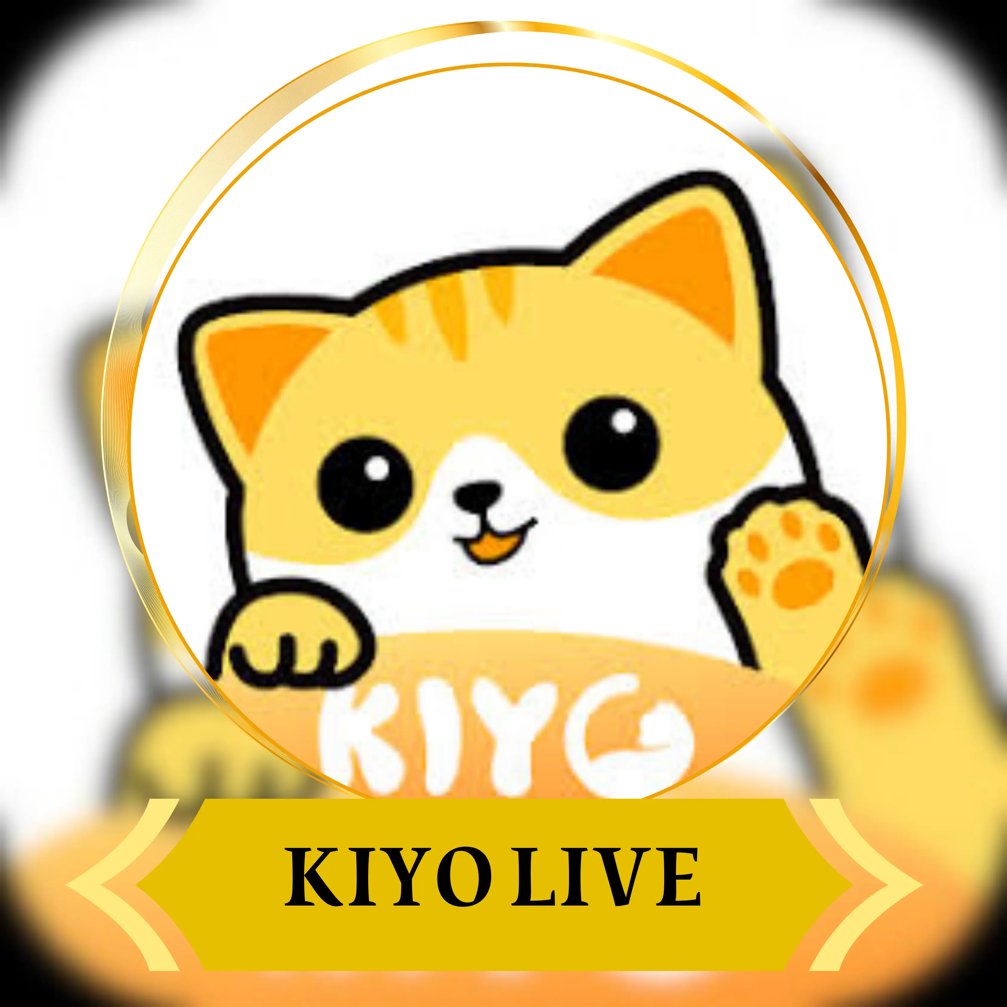كيو لايف ¦¦ Kiyo Live